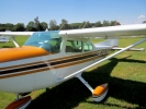 Bild 176 von 216